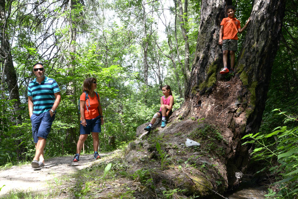 Randonnée en mountain bike sur les alpages de Thyon